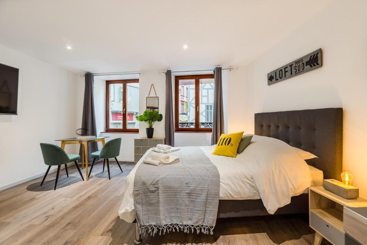 Travel Homes - L'Arsenal, Studios En Hyper Centre Mulhouse Eksteriør billede