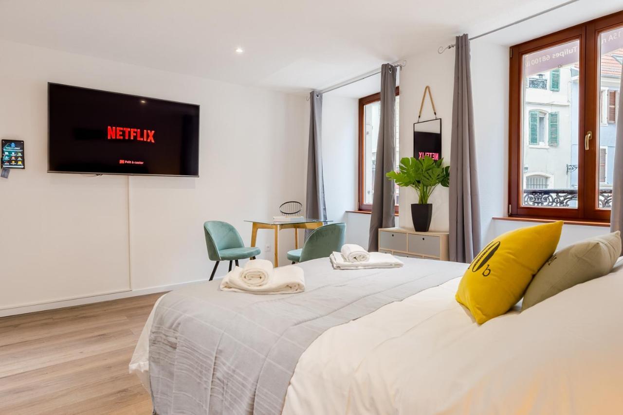 Travel Homes - L'Arsenal, Studios En Hyper Centre Mulhouse Eksteriør billede
